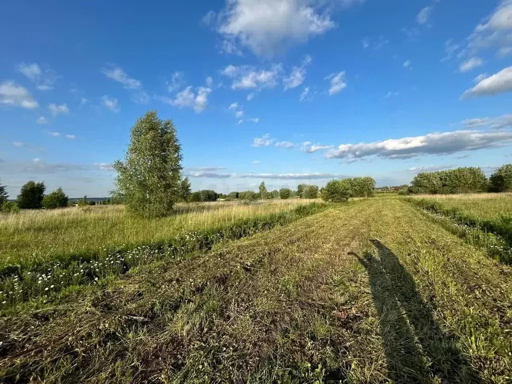 Участок в Тульская область, Алексин городской округ, с. Сотино  (550.0 ... - Фото 1