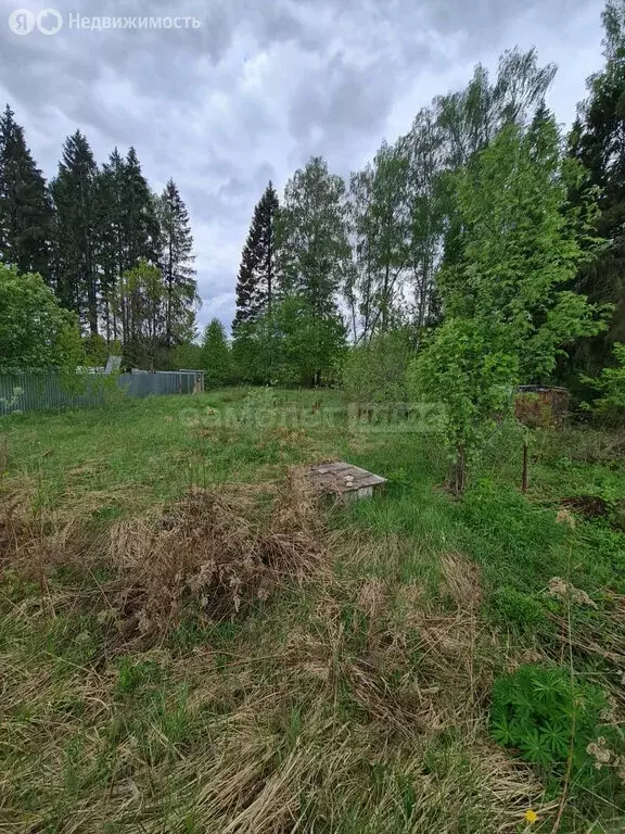 Участок в Московская область, Одинцовский городской округ, ... - Фото 1