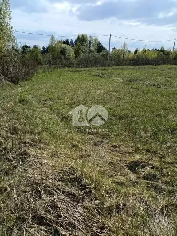 Участок в Новосибирская область, Колыванский район, Эталон СТ  (10.0 ... - Фото 1