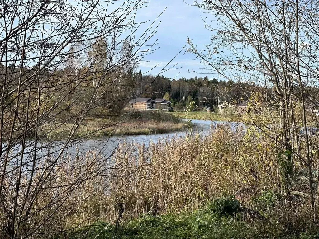 Участок в Костромская область, Красносельский район, Шолоховское ... - Фото 2