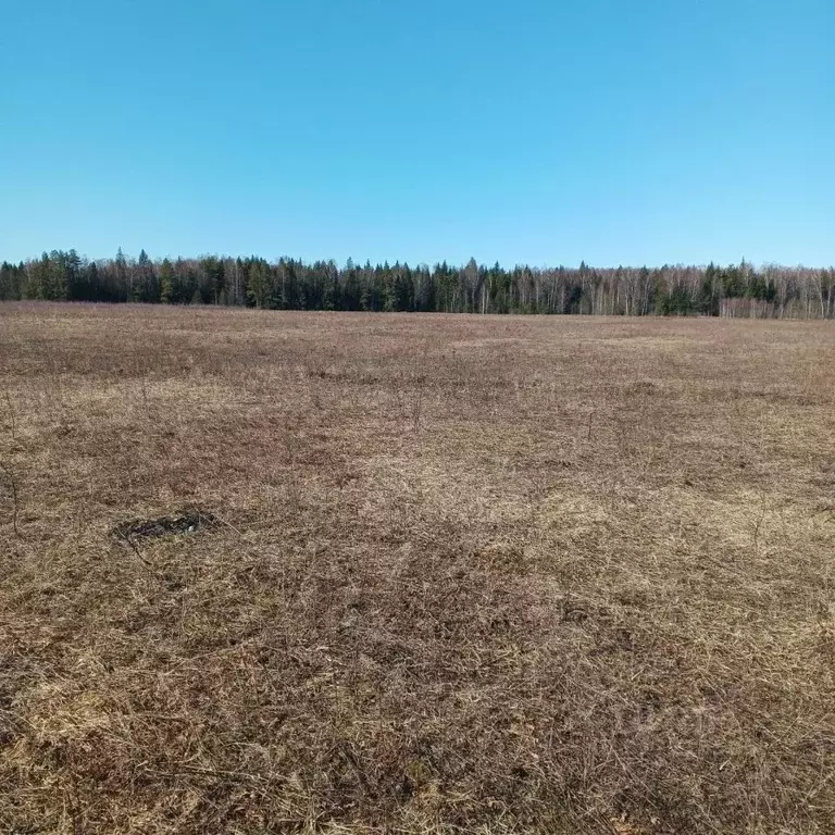 Участок в Ивановская область, Ивановский муниципальный округ, д. ... - Фото 2