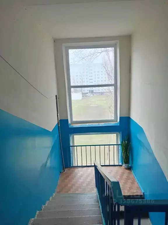 2-к кв. Саратовская область, Балаково проезд Энергетиков, 8 (40.3 м) - Фото 1