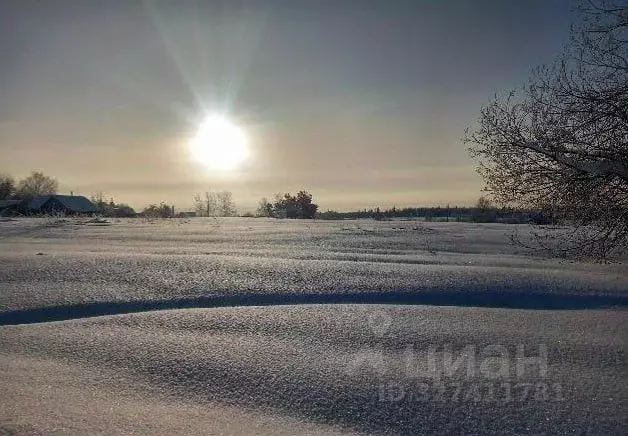 Участок в Московская область, Дмитровский муниципальный округ, с. ... - Фото 1