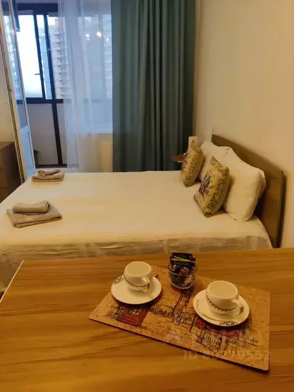 Студия Санкт-Петербург ул. Бутлерова, 11к4 (27.0 м) - Фото 1