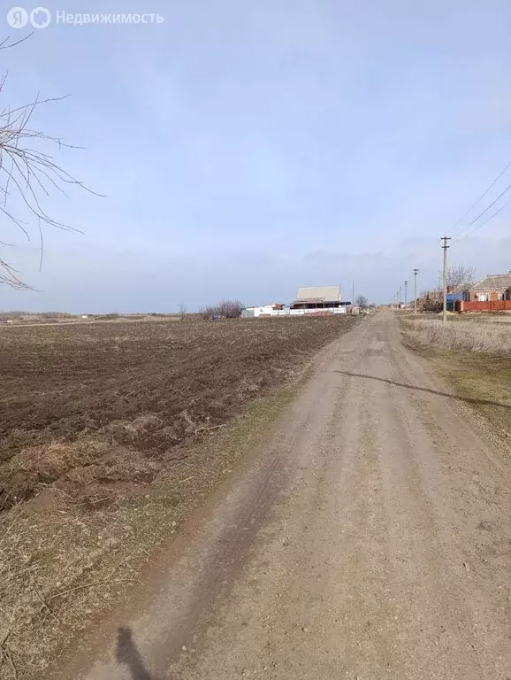 Участок в Щербиновский, Западная улица, 30 (15 м) - Фото 1