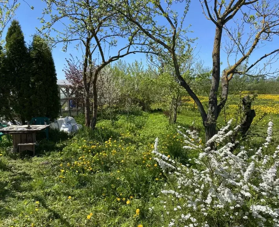 Участок в Ленинградская область, Ломоносовский район, Горбунковское ... - Фото 1