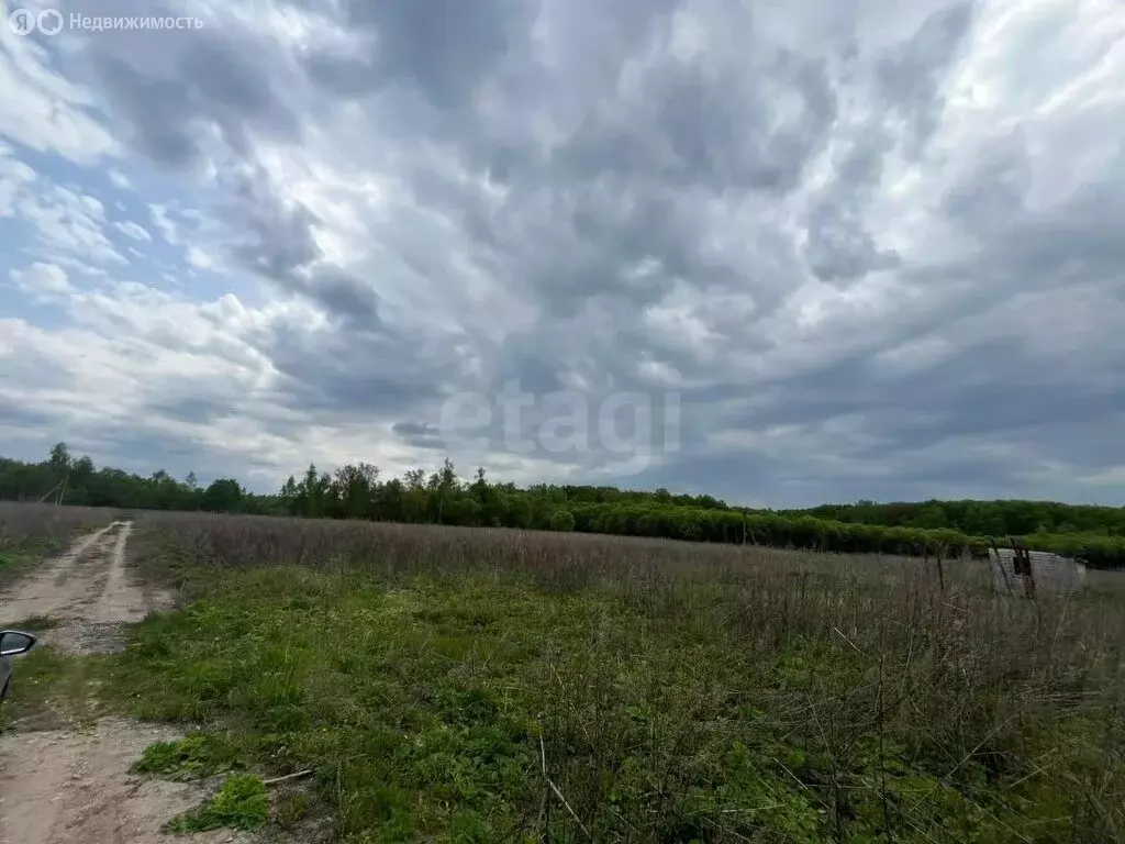 Участок в Тульская область, городской округ Тула, деревня Малёвка, ... - Фото 2