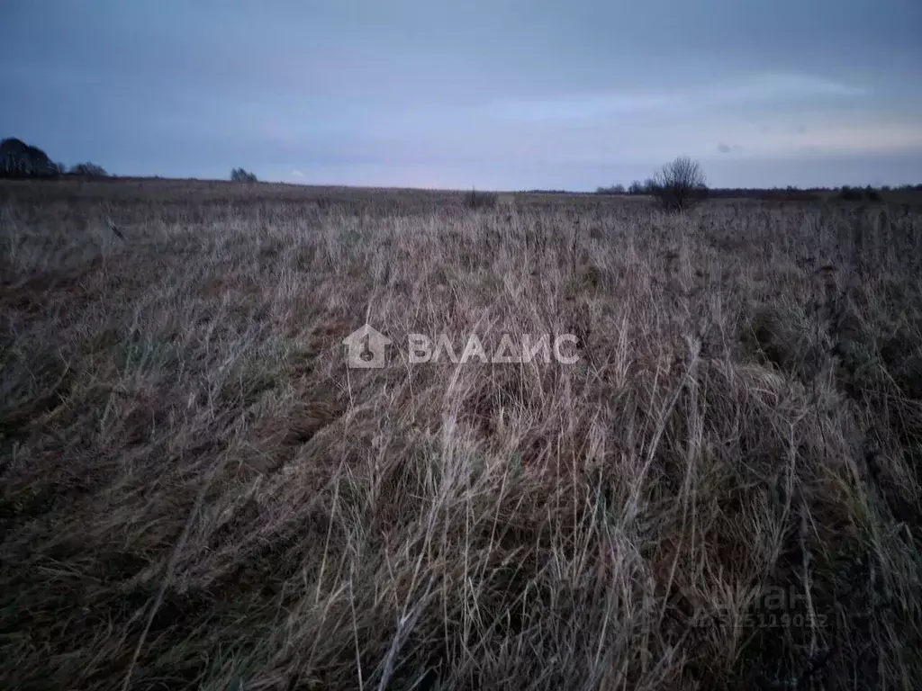 Участок в Калининградская область, Зеленоградский муниципальный округ, ... - Фото 1