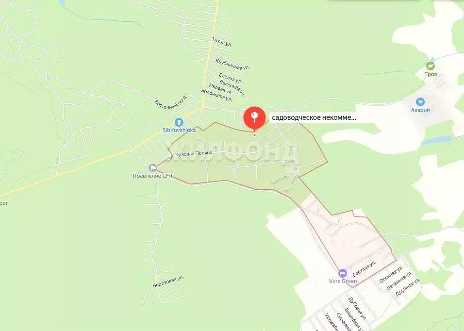 Участок в Новосибирская область, Новосибирский район, Барышевский ... - Фото 1