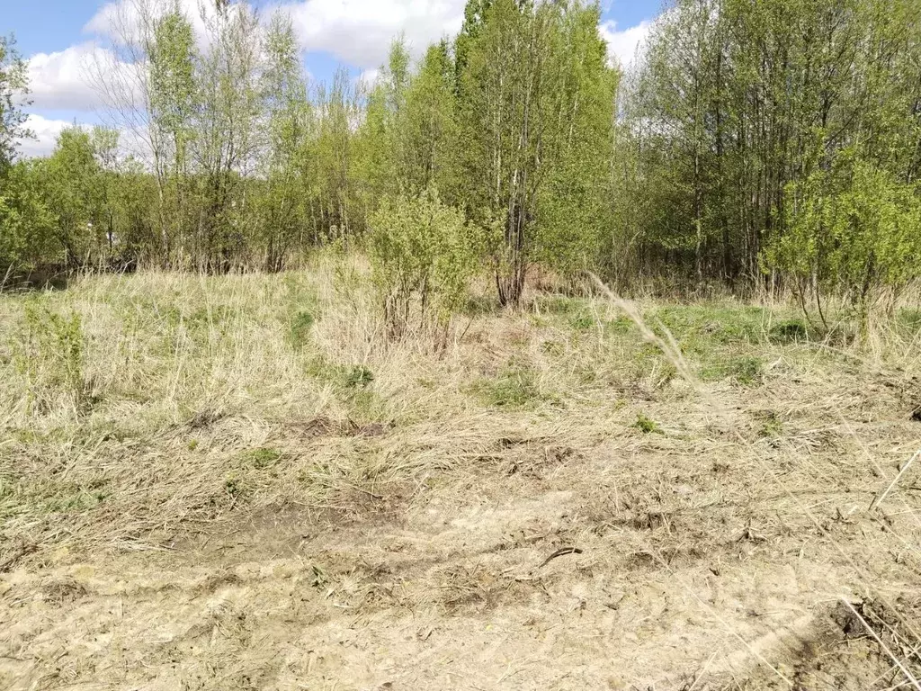 Участок в Московская область, Орехово-Зуевский городской округ, пос. ... - Фото 0