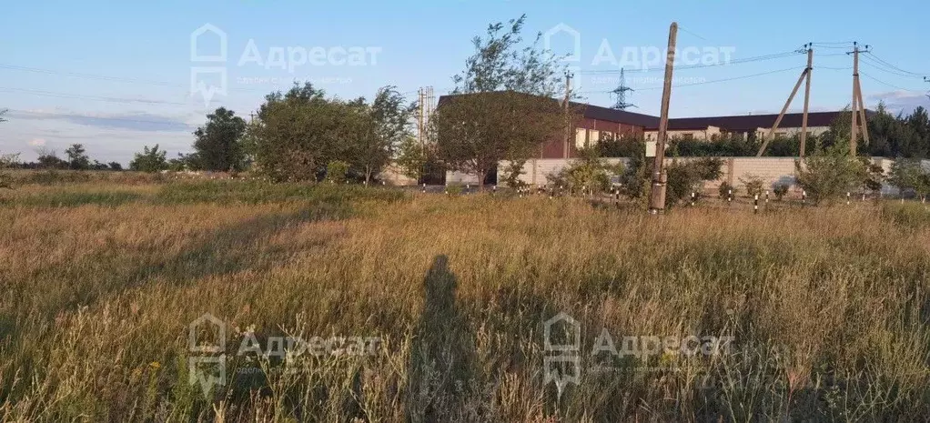 Участок в Волгоградская область, Городищенский район, Царицынское ... - Фото 0