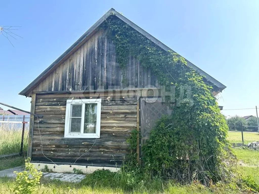 Участок в Новосибирская область, Новосибирский район, с. Боровое ул. ... - Фото 1