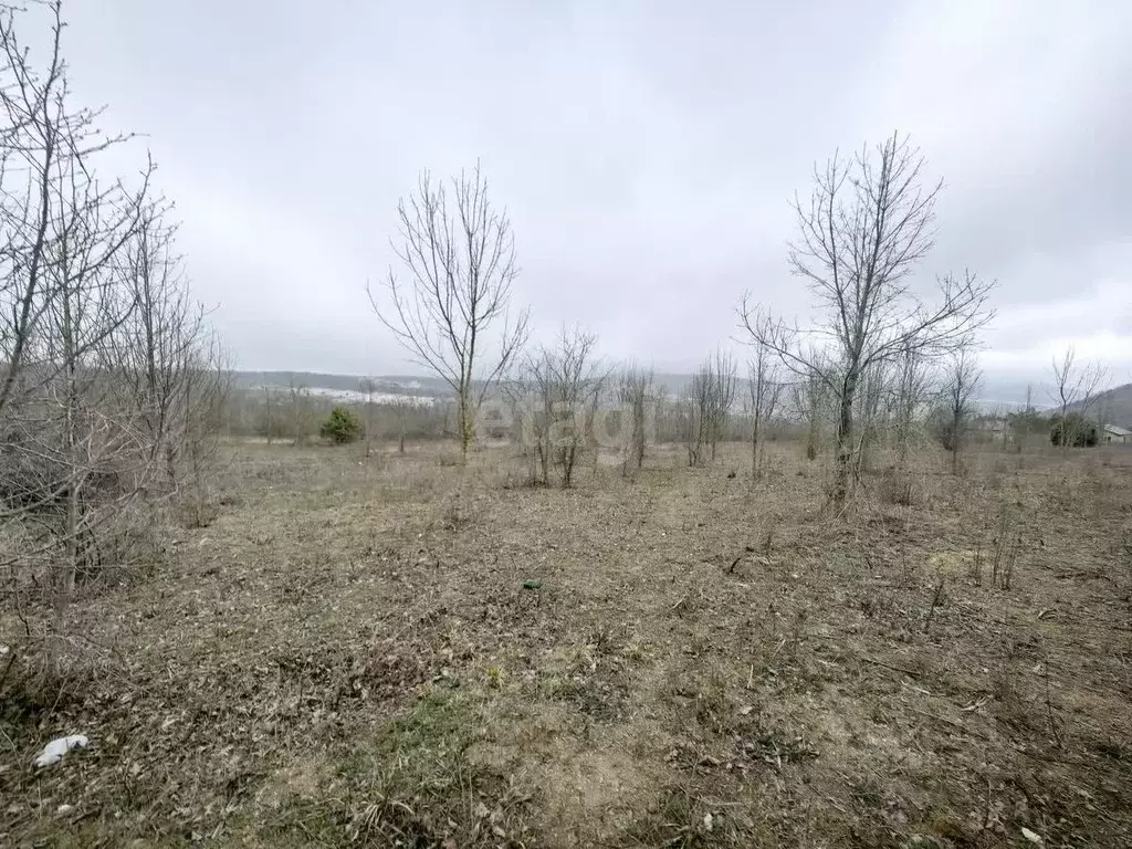 Участок в Краснодарский край, Новороссийск городской округ, с. ... - Фото 0