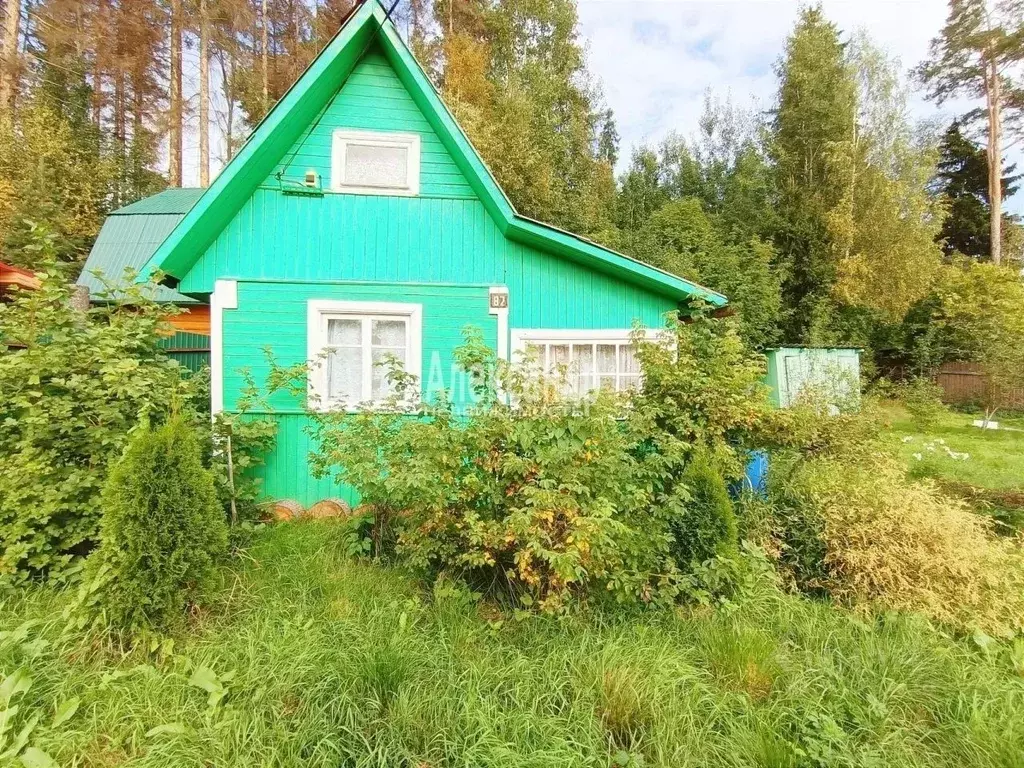 Дом в Ленинградская область, Выборг туп. 9-й Лиловый (36 м) - Фото 1