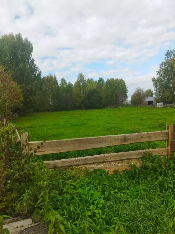 Участок в Кировская область, Орловское с/пос, д. Скозырята 6 (30.0 ... - Фото 2