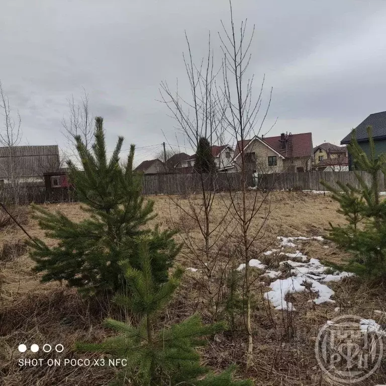 Участок в Ленинградская область, Всеволожский район, Романовское ... - Фото 1