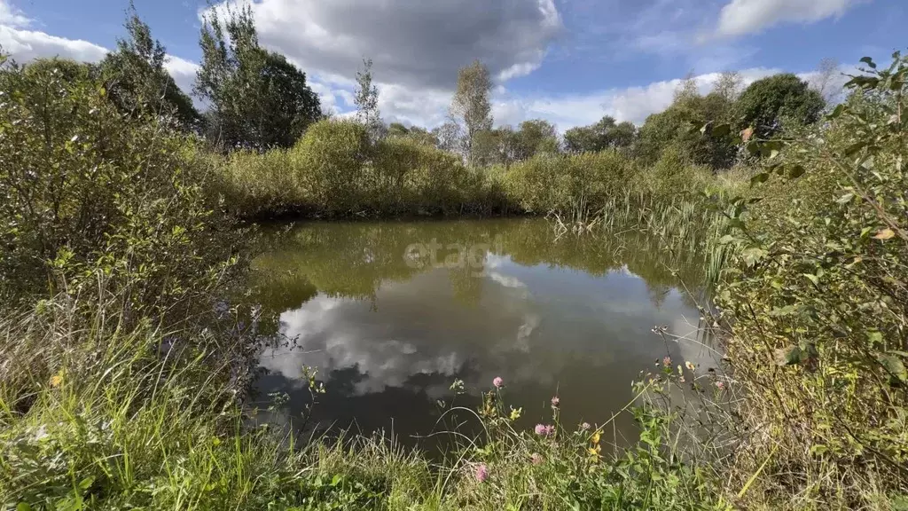 Участок в Ленинградская область, Волховский район, Вындиноостровское ... - Фото 1