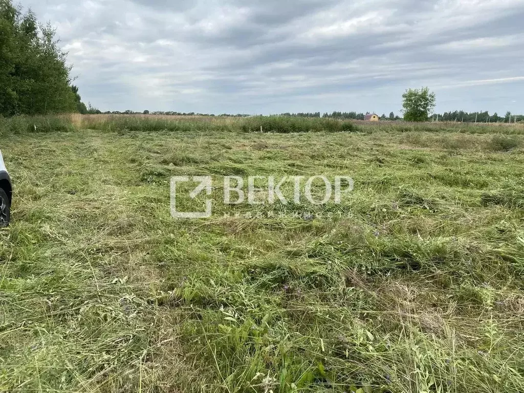 Участок в Костромская область, Кострома ул. Счастливая (11.7 сот.) - Фото 1