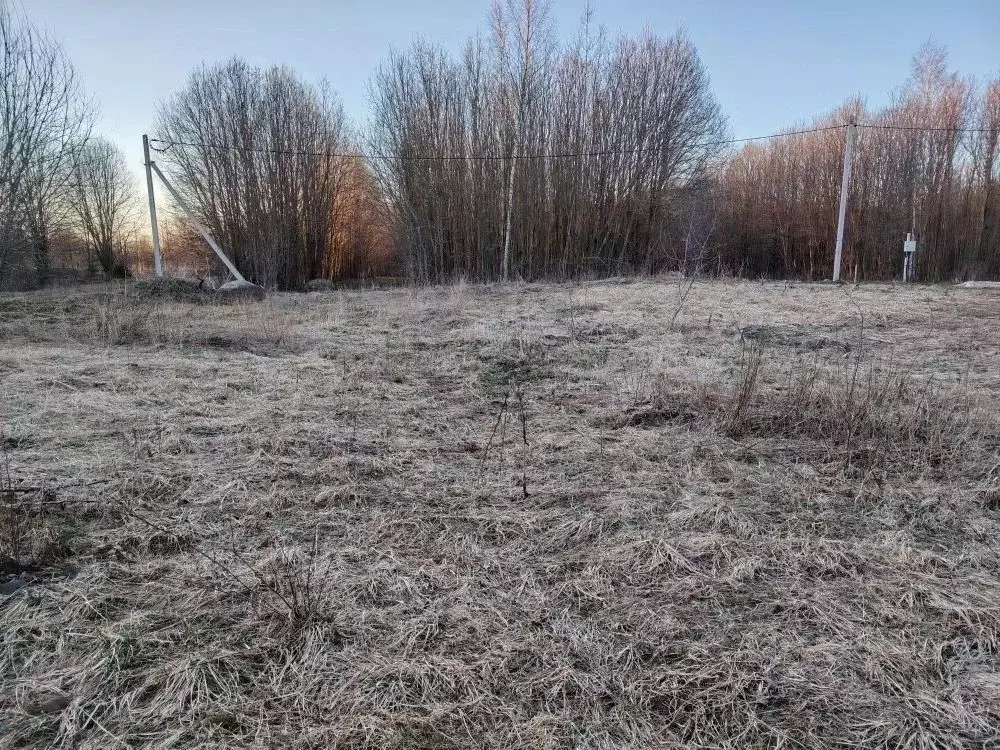 Участок в Ленинградская область, Волосово Юбилейная ул., 39 (10.0 ... - Фото 1