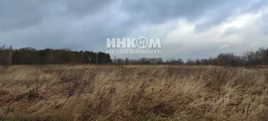 Участок в Калужская область, Мосальский муниципальный округ, пос. ... - Фото 1