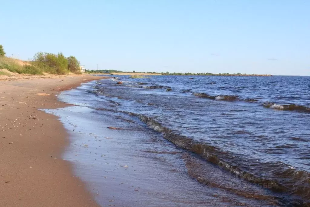 Гаглово Гдовский район