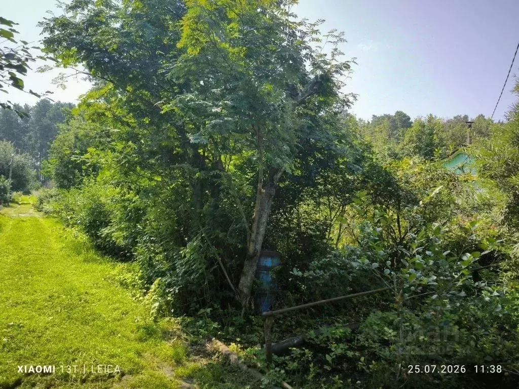 Участок в Свердловская область, Екатеринбург 40 лет Октября СНТ, 125 ... - Фото 2