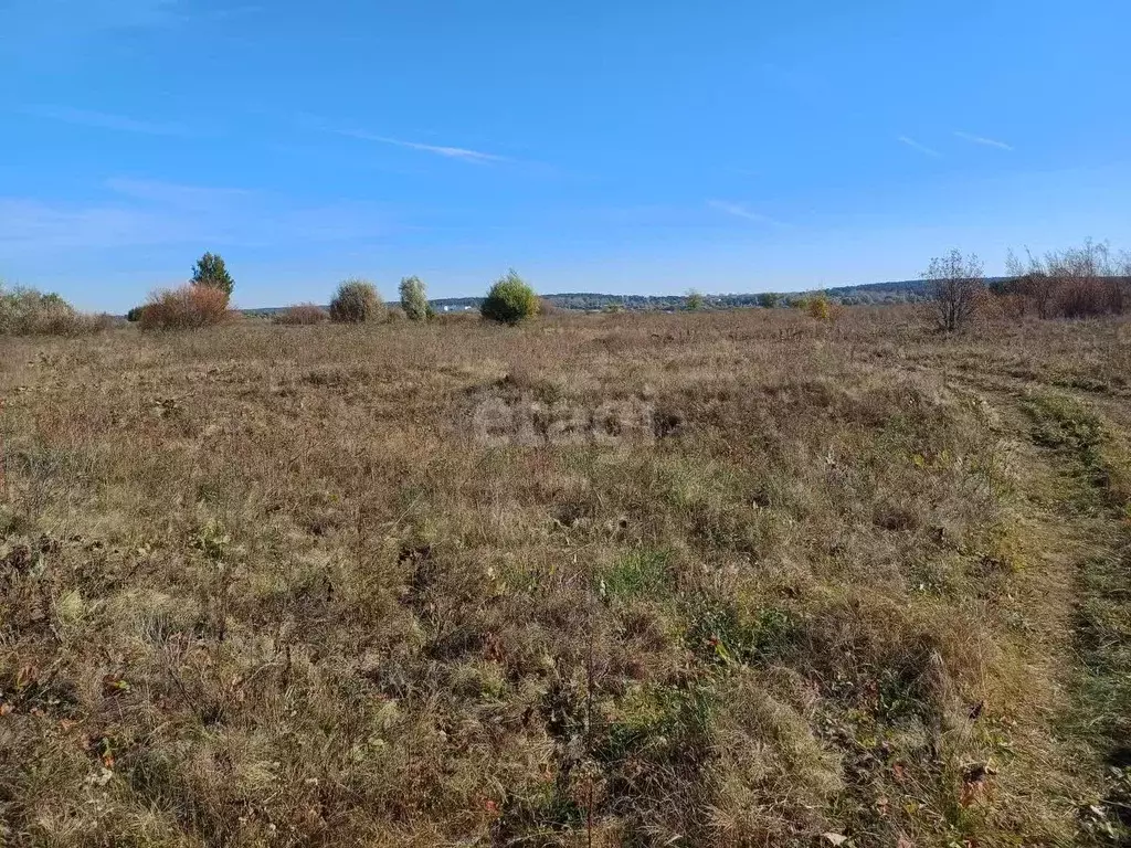 Участок в Нижегородская область, Выкса городской округ, ... - Фото 1