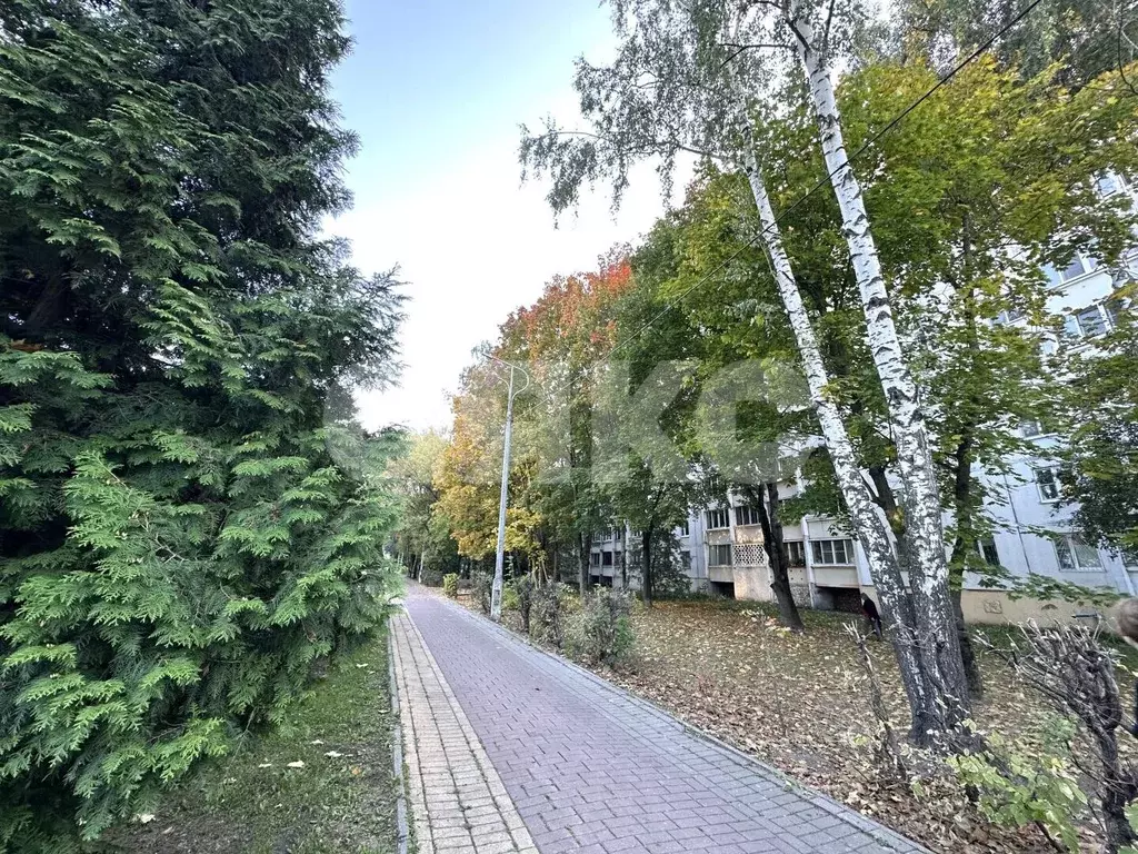 3-к кв. Московская область, Раменское ул. Левашова, 27 (65.7 м) - Фото 1