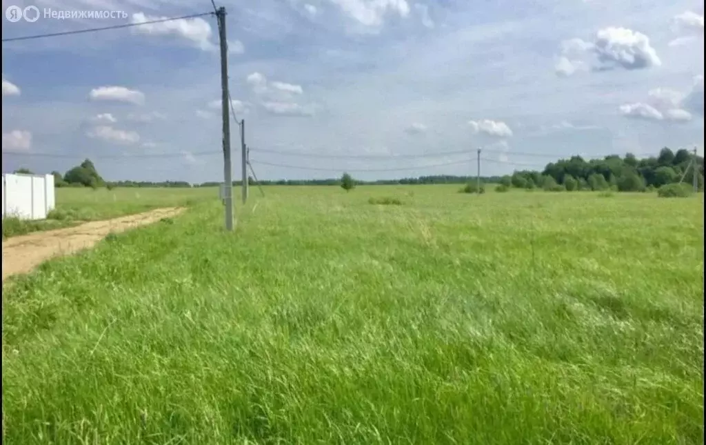 Участок в Сосновый Бор, ТСН Виктория, 21 (8 м) - Фото 0