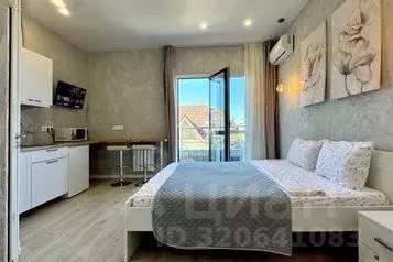 1-к кв. Краснодарский край, Сочи Адлер жилрайон, ул. Чкалова, 66 (22.0 ... - Фото 1