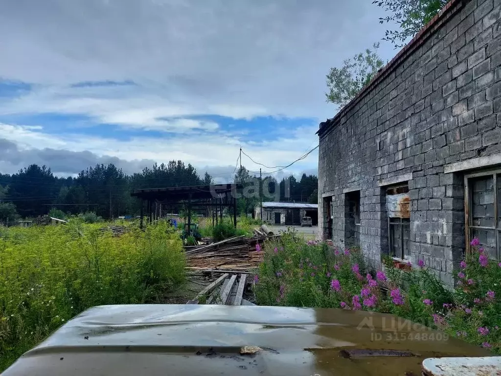 Склад в Свердловская область, Нижний Тагил тракт Кушвинский, 8 (414 м) - Фото 1