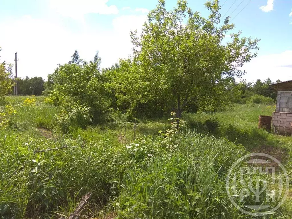 Участок в Ленинградская область, Лужский район, Ретюнское с/пос Р-23, ... - Фото 1