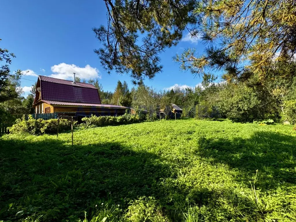 Участок в Ярославская область, Переславль-Залесский муниципальный ... - Фото 1