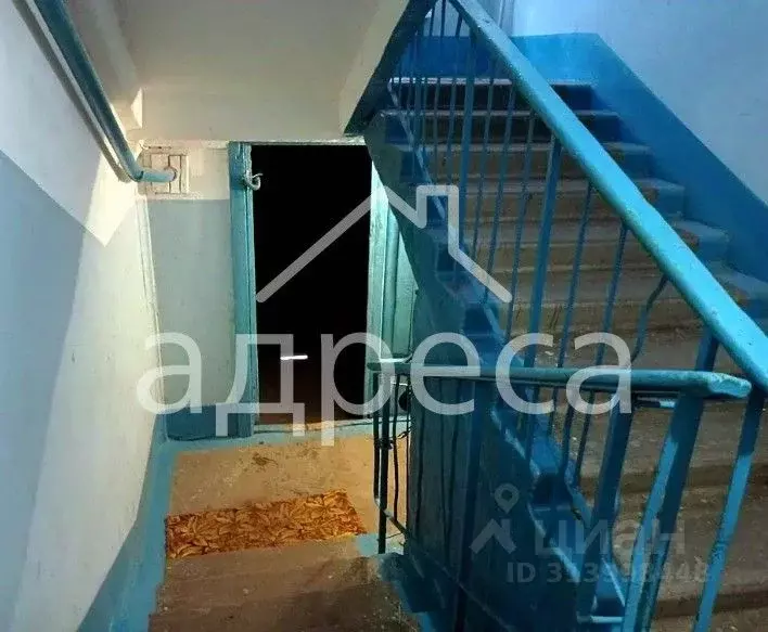 3-к кв. Самарская область, Самара Партизанская ул., 124 (57.0 м) - Фото 1
