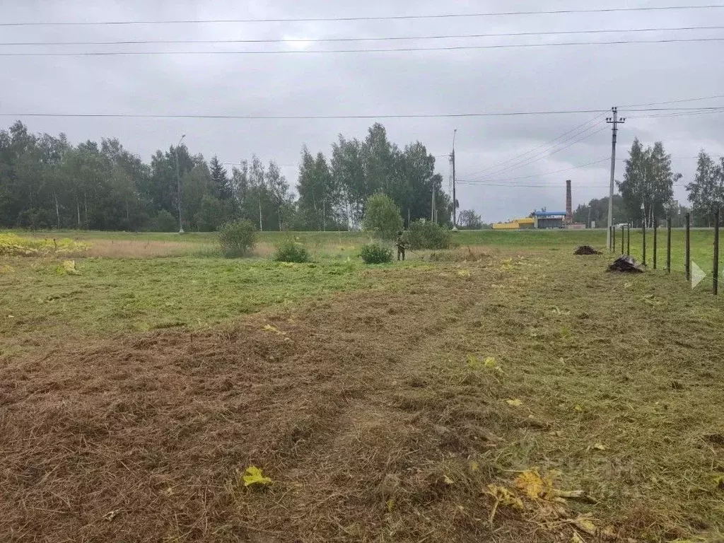 Участок в Московская область, Рузский городской округ, д. Нововолково  ... - Фото 0