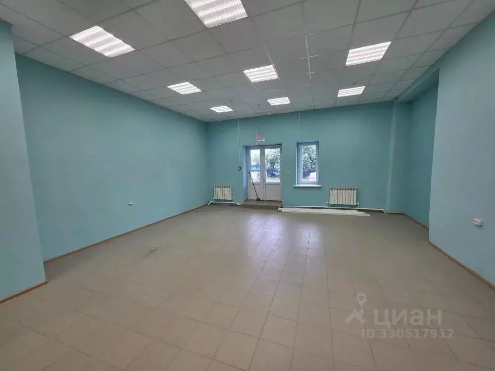 Помещение свободного назначения в Ульяновская область, Сенгилей ул. ... - Фото 1