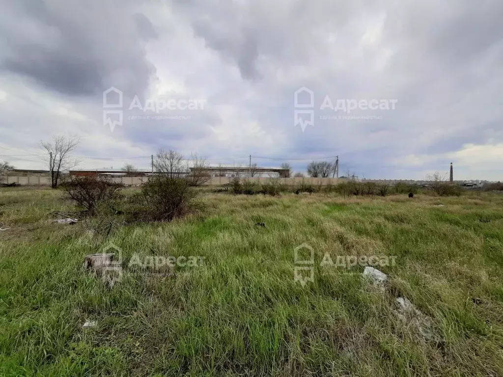 Участок в Волгоградская область, Волгоград Дзержинец СНТ, ... - Фото 1