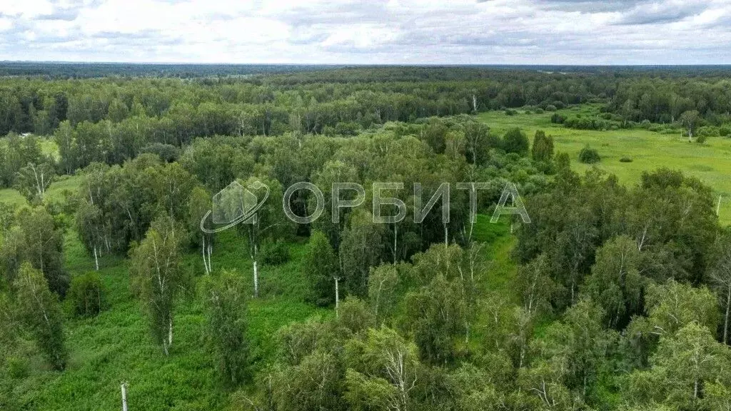 Участок в Тюменская область, Тюменский район Салаирский тракт, 14-й км ... - Фото 1