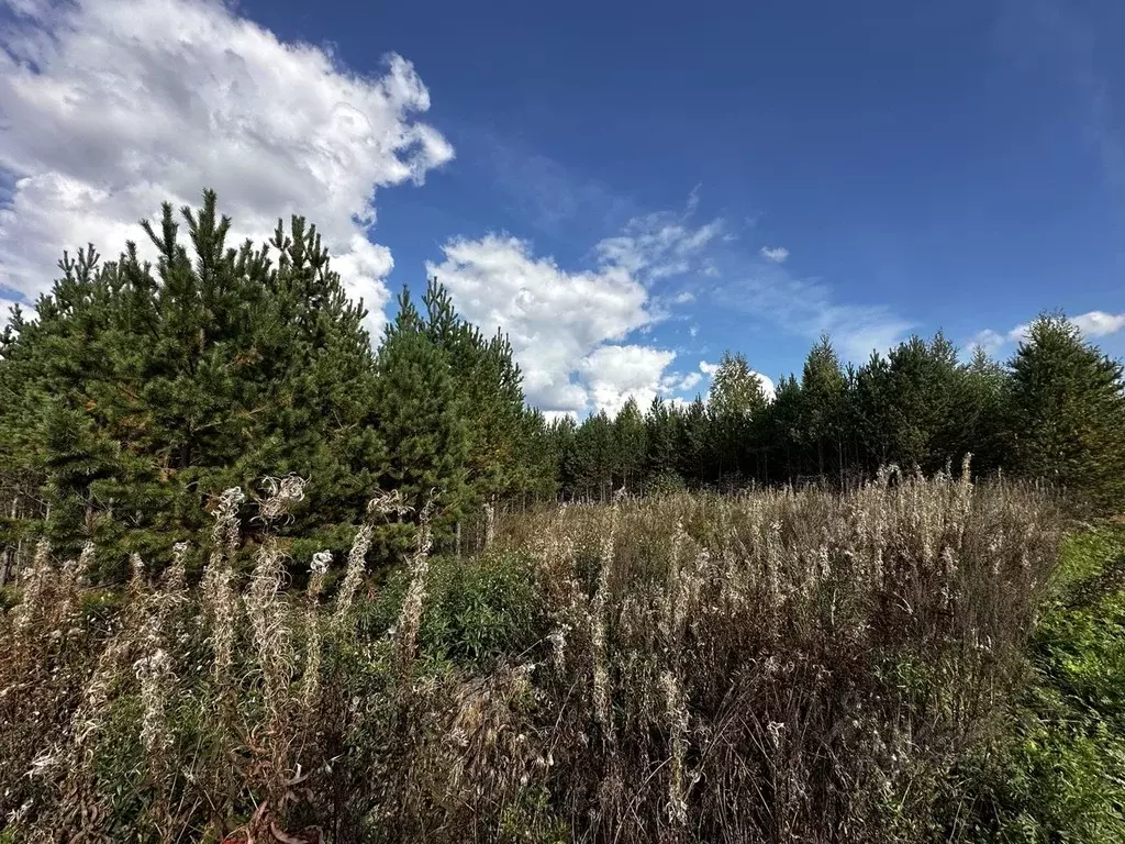 Участок в Свердловская область, Белоярский муниципальный округ, пос. ... - Фото 2