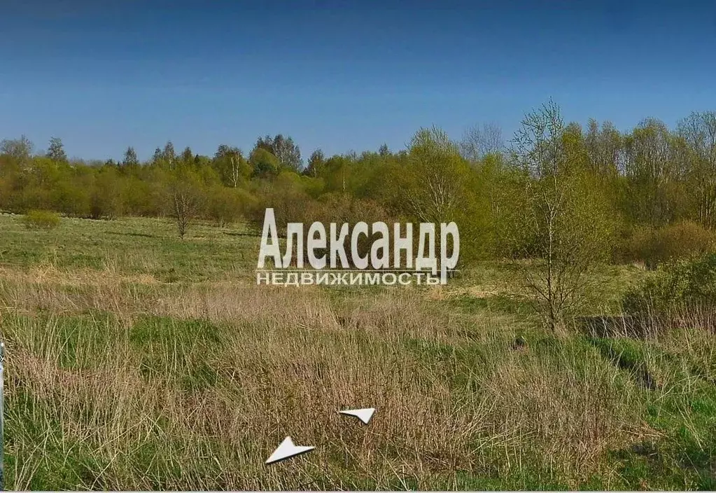 Участок в Ленинградская область, Приозерский район, Красноозерное ... - Фото 1