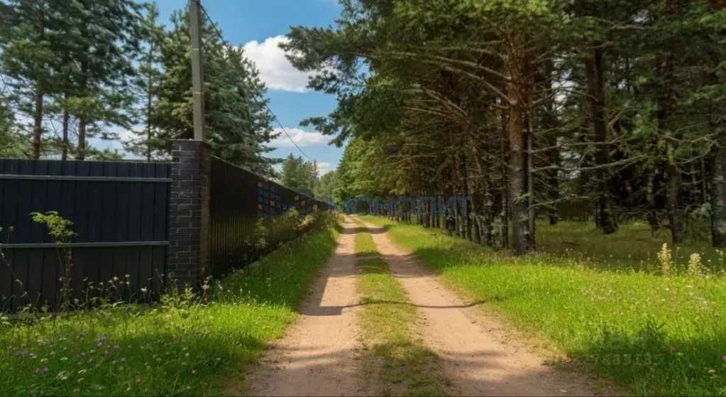 Участок в Нижегородская область, Городецкий муниципальный округ, д. ... - Фото 1