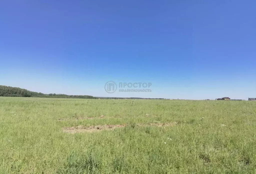 Участок в Московская область, Лосино-Петровский городской округ, д. ... - Фото 1