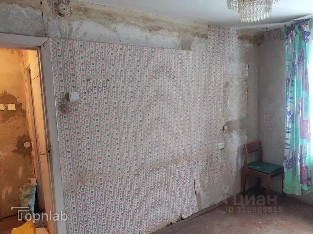 1-к кв. Владимирская область, Владимир ул. Нижняя Дуброва, 46б (27.7 ... - Фото 2