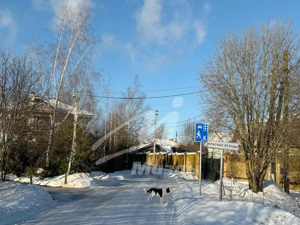 Участок в Московская область, Одинцовский городской округ, д. Красные ... - Фото 1