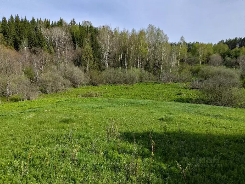 Участок в Пермский край, Ильинский муниципальный округ  (40.0 сот.) - Фото 2