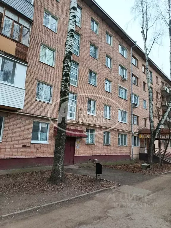 1-к кв. Удмуртия, Ижевск ул. 9 Января, 221 (29.4 м) - Фото 2