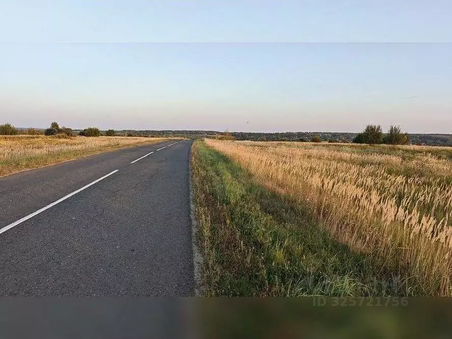 Участок в Московская область, Серебряные Пруды пгт ул. Советская ... - Фото 2