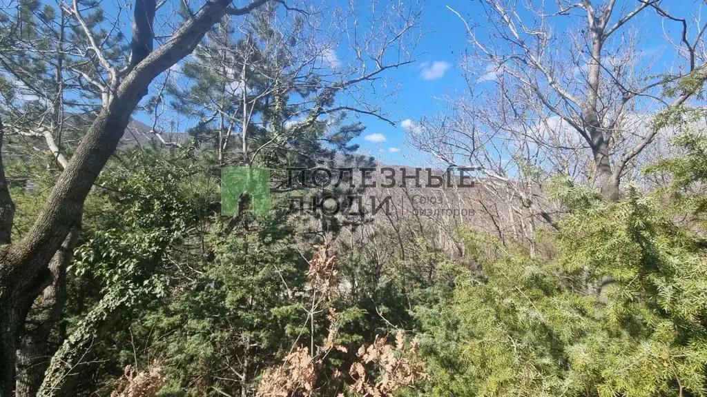 Участок в Краснодарский край, Новороссийск городской округ, с. Мысхако ... - Фото 2