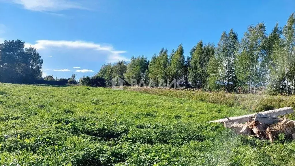 Участок в Владимирская область, Ковровский район, Новосельское с/пос, ... - Фото 2