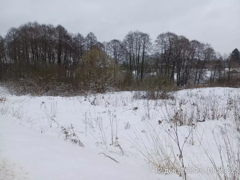 Участок в Московская область, Наро-Фоминский городской округ, д. ... - Фото 0